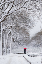 Paris under the snow and floods, snowman on the bank of the Seine, beautiful building facades in winter