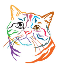 Colorful decorative portrait of British Cat, contour vector illustration in different colors isolated on white background. Image for design, cards and