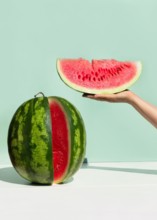 Ripe fresh watermelon on neo mint colored background. Woman's hand holding slice of watermelon.Creative minimal summer fruit concept.