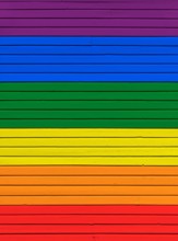 Wood board wall painted in rainbow flag colors. Abstract textured background. Gay pride and LGBT movement flag concept.