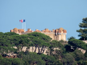 Saint-Tropez citadel Castle at the top of a hill with pines, in France, Europe, Provence, French Riviera.