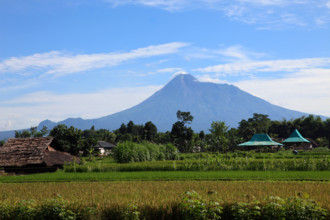 Indonesia, Java, Gunung Merapi volcano; agricultural fields;
