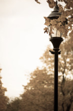 Old antique gas lamp post.