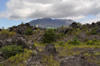 Sakurajima island,Kagoshima,Japan
