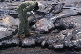 A volcanologist collects lava samples at Hawaii Volcanoes National Park, part of the U.S. Geological Survey’s ongoing research into volcanic activity. The park is home to Kilauea, one of the world’s m...