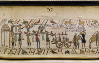 bayeux tapestry close up detail