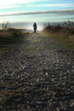 Walking a path into the distance. Back view of a woman on the horizon at the end of a path.