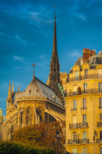Paris architecture, the east end of Notre Dame Cathedral alongside a typical 19th century apartment building on the Ile de la Cite in Paris, France.