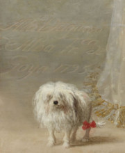 . English: Detail from the well know Painting by Goya Deutsch: Detail des bekannten Goya-Bildes  . 1795. Farncisco de Alba Goya Alba1, Detail