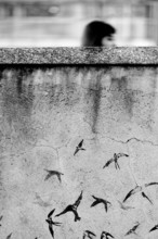 Street art concrete wall with painted birds