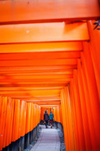 Torii gates at Fushimi Inari-Taisha sanctuary,Kyoto, Japan