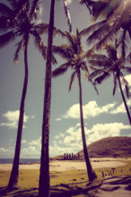 Anakena palm beach and Moais statues site ahu Nao Nao, easter island