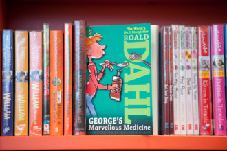 Roald Dahl book names "George's Marvellous Medicine" on shelf of a library.