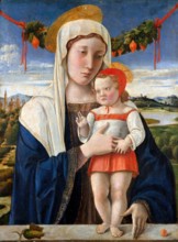 Madonna and Child by Giovanni Bellini (c.1435-1516), tempera oil and gold on wood, c. 1470