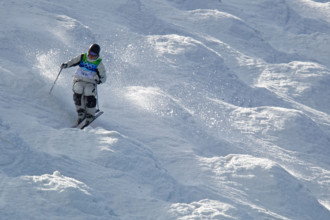 Competitor in the Men's Moguls event at the 2010 Olympic Winter Games, Vancouver, British Columbia