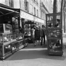 Pariser Bilder [The street life of Paris]  Aviaries at the entrance of a bird trade Date: 1965 Location: France, Paris Keywords: animal stores, street images, birds, aviaries, shops