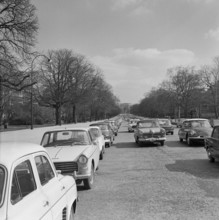 Pariser Bilder [Paris Street Life]  Parked cars along Avenue Foch Date: 1965 Location: France, Paris Keywords: cars, parking spaces, street images