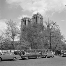 Pariser Bilder [The street life of Paris]  Cathedral Notre-Dame, with in the foreground the stalls on the quays of the Seine Annotation: The booksellers with a stall along the Seine are bouquinistes. ...