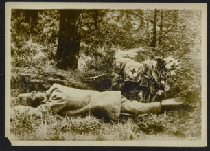 Description: Fallen soldier with hospital dog Date: {1914-1918} Keywords: WWI, dead dogs