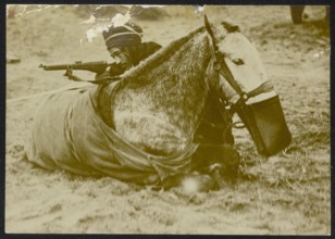 Description: [Algerian or Moroccan] cavalryman with rifle refuge behind a horse lying Annotation: The horse has a feed bag around his muzzle. Photo seems staged. Date: {1914-1918} Keywords: WWI, rifle...