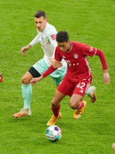 Munich, Germany. 21st Nov, 2020. Jamal MUSIALA, FCB 42 compete for the ball, tackling, duel, header, zweikampf, action, fight against Maximilian EGGESTEIN, BRE 35 at the match FC BAYERN MUENCHEN - SV ...