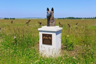The Bronze Dog Statue, “Faithful Partner” at the WWI Animal War Memorial in Pozieres (Somme), France