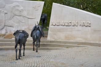 Animals in war memorial