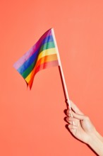Vibrant shot of female hand holding rainbow flag at pink background as symbol for pride month LGBTQ
