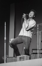 June 17, 1967, Monterey, California, USA: The Monterey International Pop Music Festival was a three-day concert event held June 16 to June 18, 1967 at the Monterey County Fairgrounds. Jill Gibson was ...