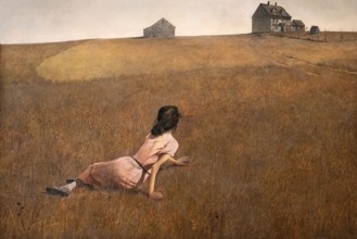 painting called Christina's World  by Andrew Wyeth at the MOMA art museum in New York