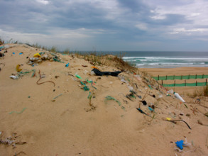 trash rubbish on dunes at the beach of Atlantic Ocean in France