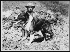 A messenger dog and its handler in France during World War I, highlighting the use of animals in military communication. These dogs played a crucial role in delivering messages across dangerous terrai...