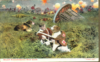World War One postcard of Major Richardson's War Dogs offering First Aid