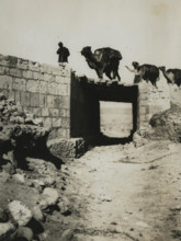 A historic photograph showing camel transport crossing a railway bridge near Beersheba, taken during the First World War.