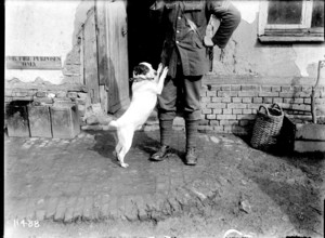 Jack was the beloved canine mascot of the New Zealand Engineers during World War I. His presence provided comfort and morale to the soldiers during their service in France, symbolizing loyalty and com...