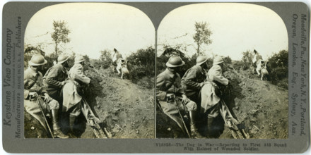 Horizontal, sepia stereocard showing three uniformed soldiers and a dog. The dog is carrying a soldier's helmet in its mouth. Keystone Stereograph number V18856. The title reads: 'The Dog in War - Rep...