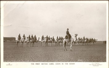 The First British Camel Corps in the Sudan circa 1915