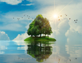 Island sea tree Summer vacation Relax Tree in the middle of the sea