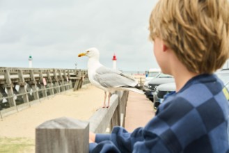 Boy watching bird at pier with lighthouse in the background