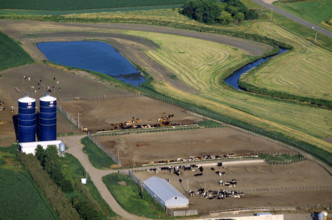 IOWA DAIRY FARM IOWA