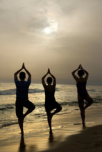 Silhouettes of three persons on beach, Yoga position The Tree, Camargue, France, Europe