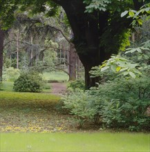 Garden Albert Kahn in Boulogne-Billancourt