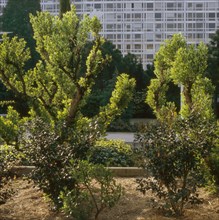Jardin Atlantique in  Paris