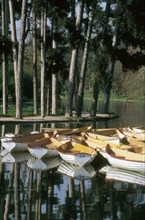 Bois de Boulogne
