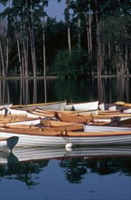 Bois de Boulogne
