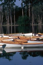 Bois de Boulogne in Paris