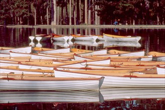 Bois de Boulogne in Paris