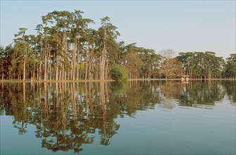 Bois de Boulogne