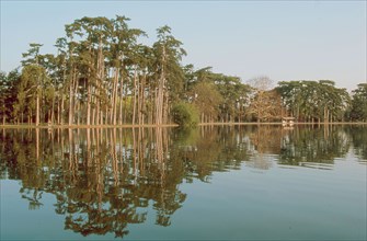 Bois de Boulogne in Paris