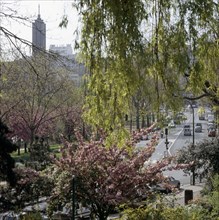 Butte du Chapeau Rouge garden in Paris